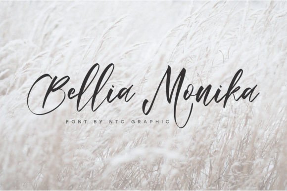 Bellia Monika: A Designer's Take on Modern Script Elegance